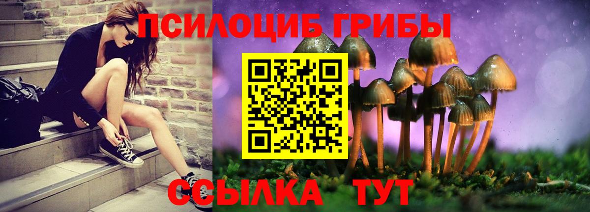 Псилоцибиновые грибы мицелий  Вход с VPN  Иркутск 