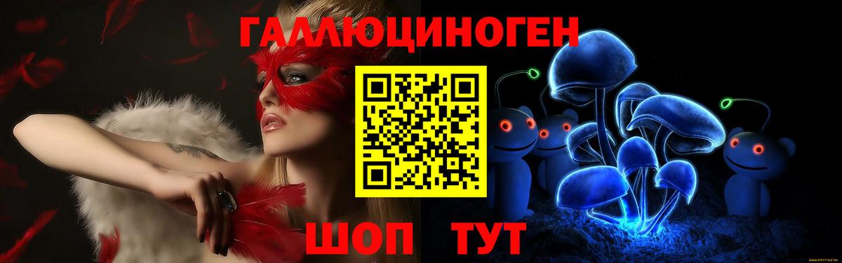 Псилоцибиновые грибы Psilocybe Иркутск